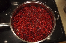Cranberries!