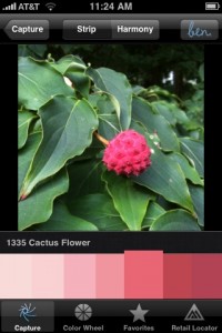 Ben-take a picture, choose a color, great!