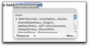 Inline Dictionary-Thesauras Snow Leopard's new inline dictionary