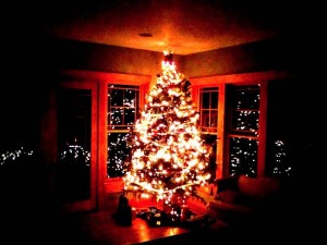 Merry Christmas!