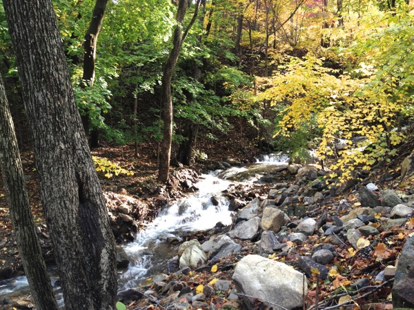 Stream